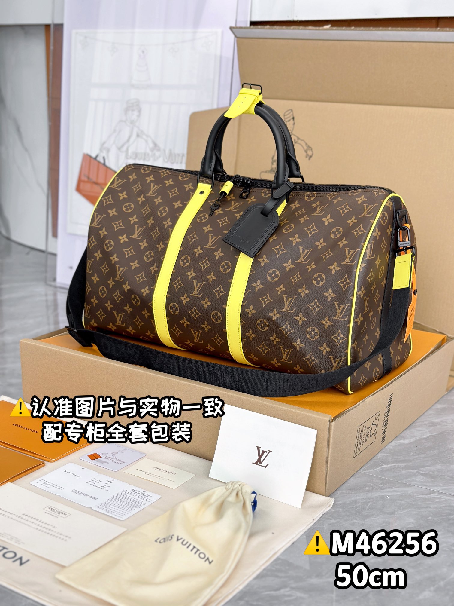 LV Travel Bags